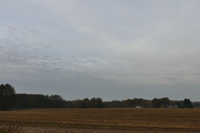 Eldingen_145