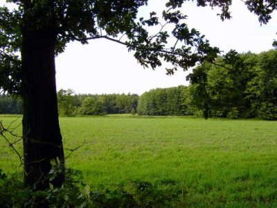 Wohlenrode_99