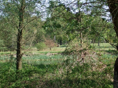 Ziegelei_51