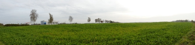Eldingen_139