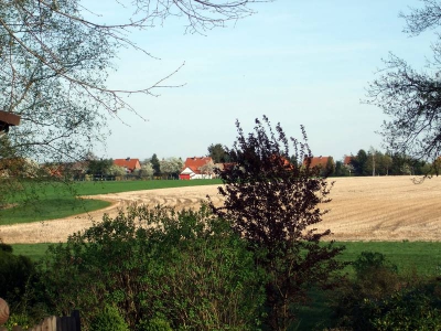 Hohnhorst_53