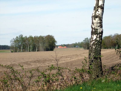 Wohlenrode_62
