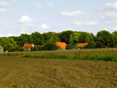 Wohlenrode_80